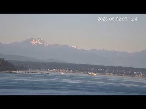 Orca Conservancy LIVE Stream | East Passage