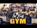 The flick pick back workout  big traps  in the gym