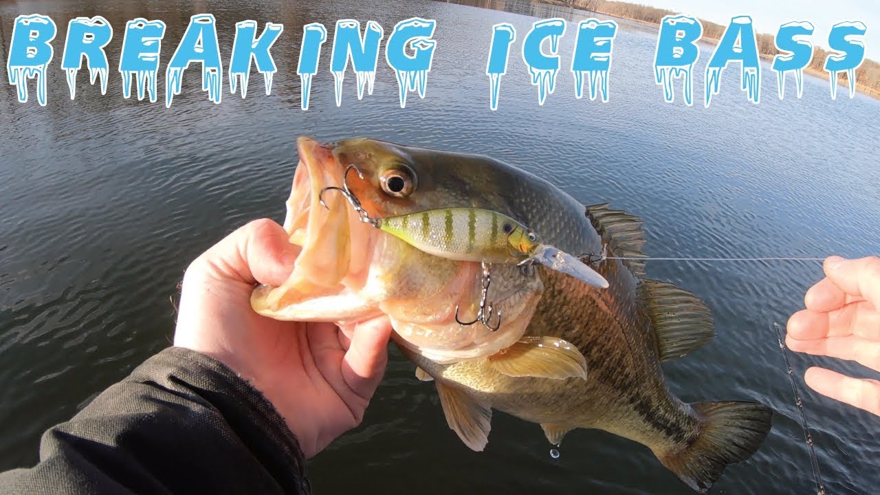 Breaking Ice For Late Fall Largemouth Bass Cold Water Fishing Tips