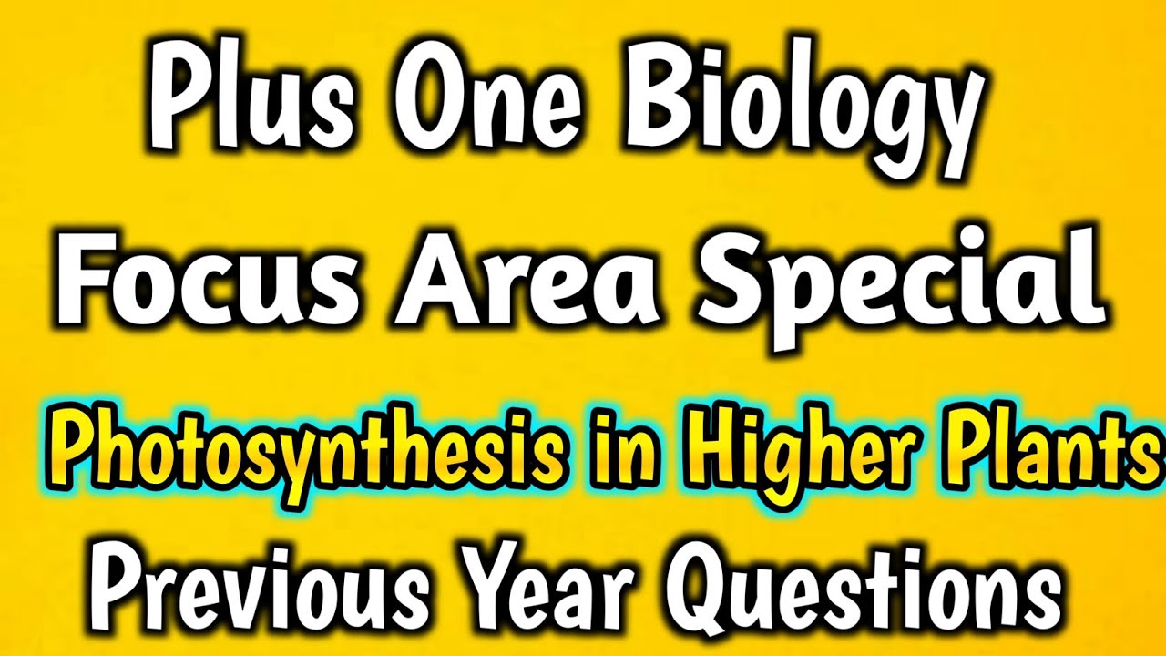 Plus One Botany Focus Area Based Class | Photosynthesis in Higher Plants | PYQ