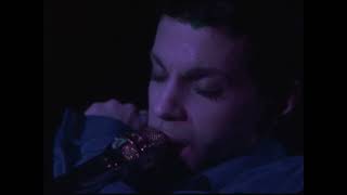 Video thumbnail of "Insatiable (Prince live @ Glam Slam '92)"