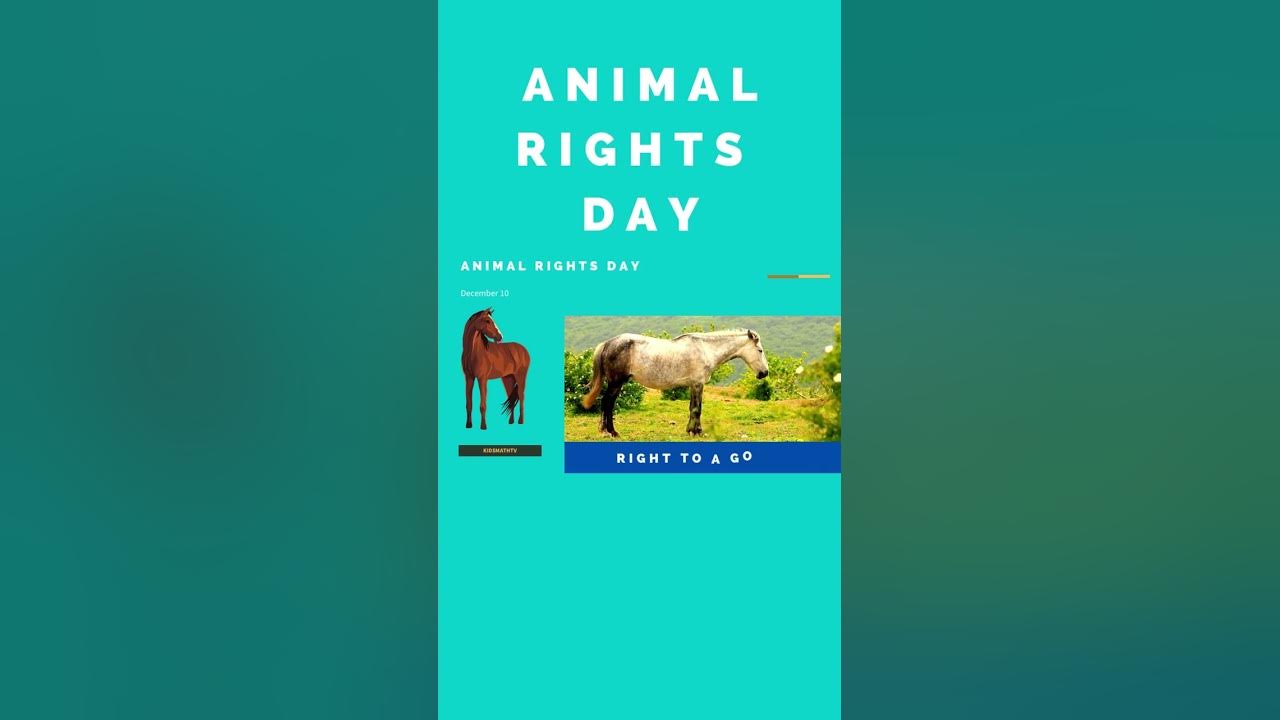Facts About International Animal Rights Day - YouTube