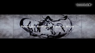 Reversible Rotation - Black in White