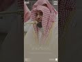 قطف من فجر 19 جمادى الاخرة 1446 للشيخ عبدالله الجهني حفظه الله Quran Tilawat 