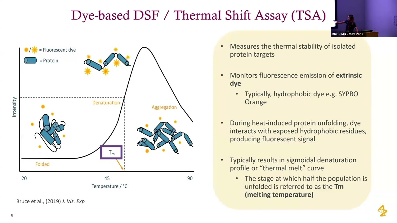 Thermal Shift Methods and High Throughput Screening - Poppy Llowarch & Sophia Berry