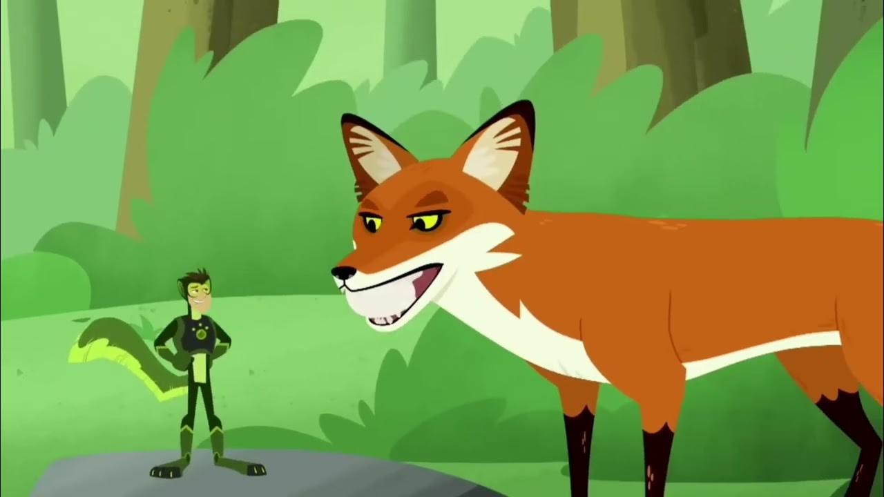 LETS FIND THE RED FOX/WILD KRATTS/TOONTIME ADVENTURES - YouTube