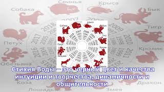 Китайский гороскоп (восточный гороскоп), знаки китайского гороскопа – рамблер/гороскопы Китайский гороскоп (восточный гороскоп), знаки китайского гороскопа – рамблер/гороскопы