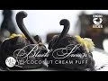 Black swan cream puff with michael lims coconut cream