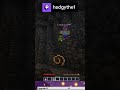 Tombe qui bug | hedgythe1 sur #Twitch