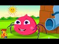 Itsy Bitsy Spider : Creepy Insects and Cartoon Videos for Children