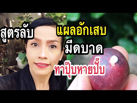 สูตรลับ!!วิธีรักษาแผลอักเสบ มีดบาด รอยขีดข่วน ให้ผิวกลับมาสวยเนียน ดั้งเดิม จากสมุนไพร แม่ก้อยพาทำ