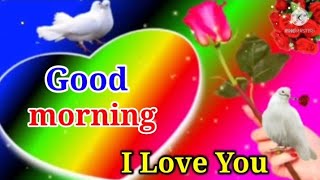 good morning video, good morning status video, good morning whatsapp status,good morning song