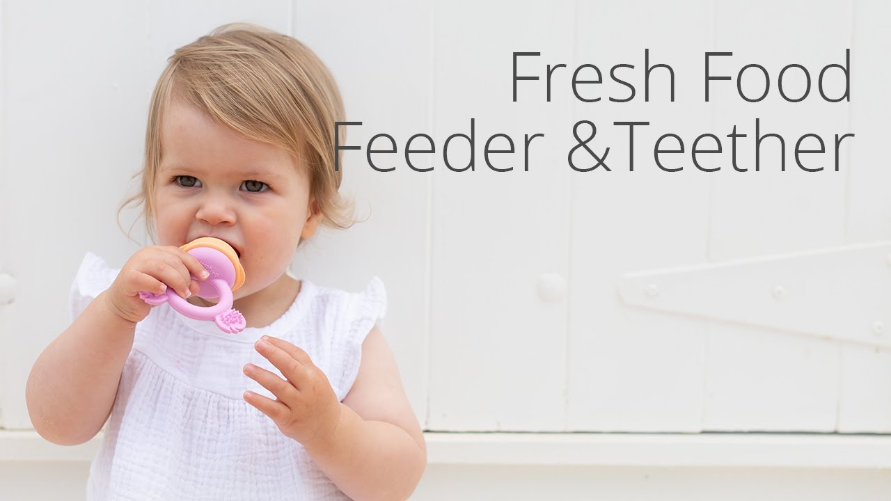 Creative Fresh Food Feeder Ideas for Babies