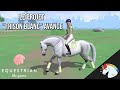 Le projet avance  equestrian the game