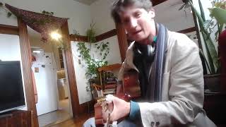the Mountain Goats - Aulon Raid (cover; version 2)