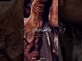 حالات واتس الشيخ سيد سعيد