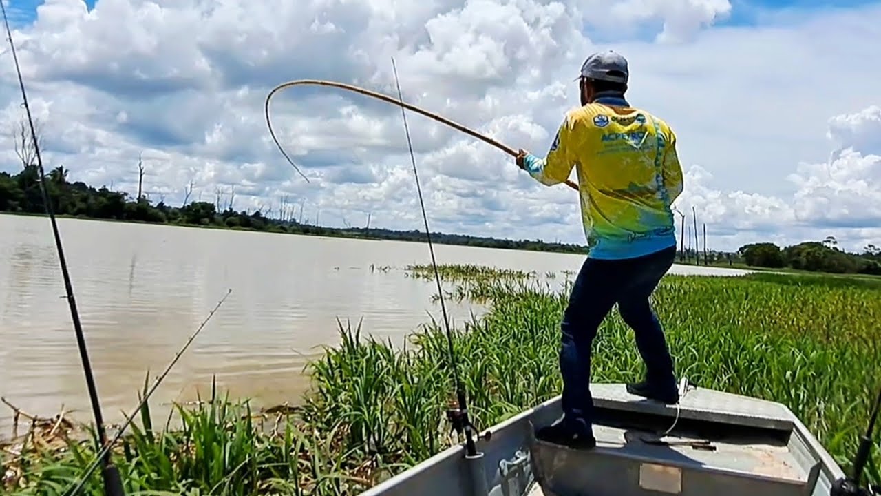 JAÚ GIGANTE , PIRAIBA , CACHARA E MUITOS OUTROS PEIXES E AINDA FIZEMOS  PEIXE FRITO NA BEIRA DO RIO.