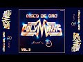 POLYMARCHS DISCO DE ORO VOL. 2 // Various Artists