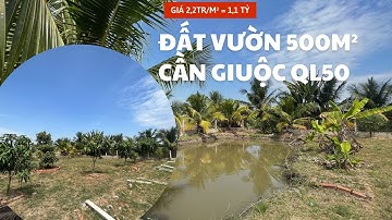 Đất Vườn Cần Giuộc 500m2 Giáp Bình Chánh Đừng Bỏ Lỡ! | Bán Nhà Bình Chánh | Nhà Đất Trang Anh
