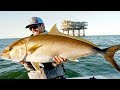 Fishing for Giant Amberjacks and Tuna on Oil Rigs