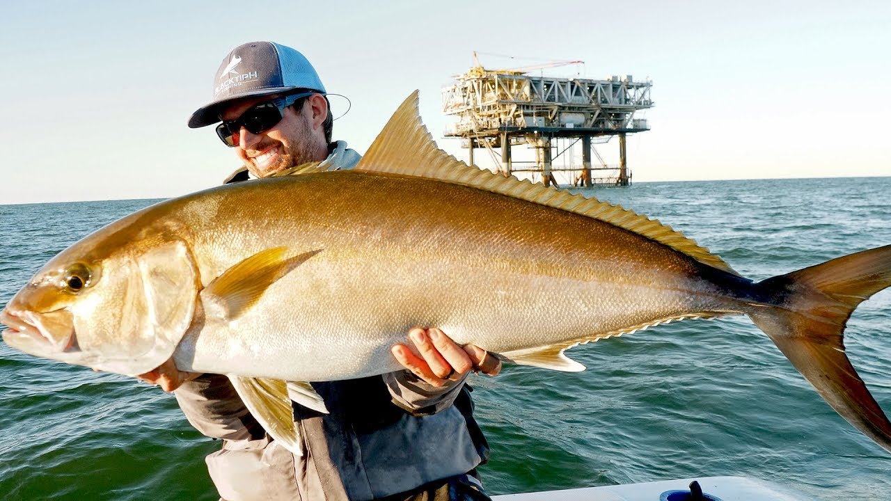 Fishing for Giant Amberjacks and Tuna on Oil Rigs 