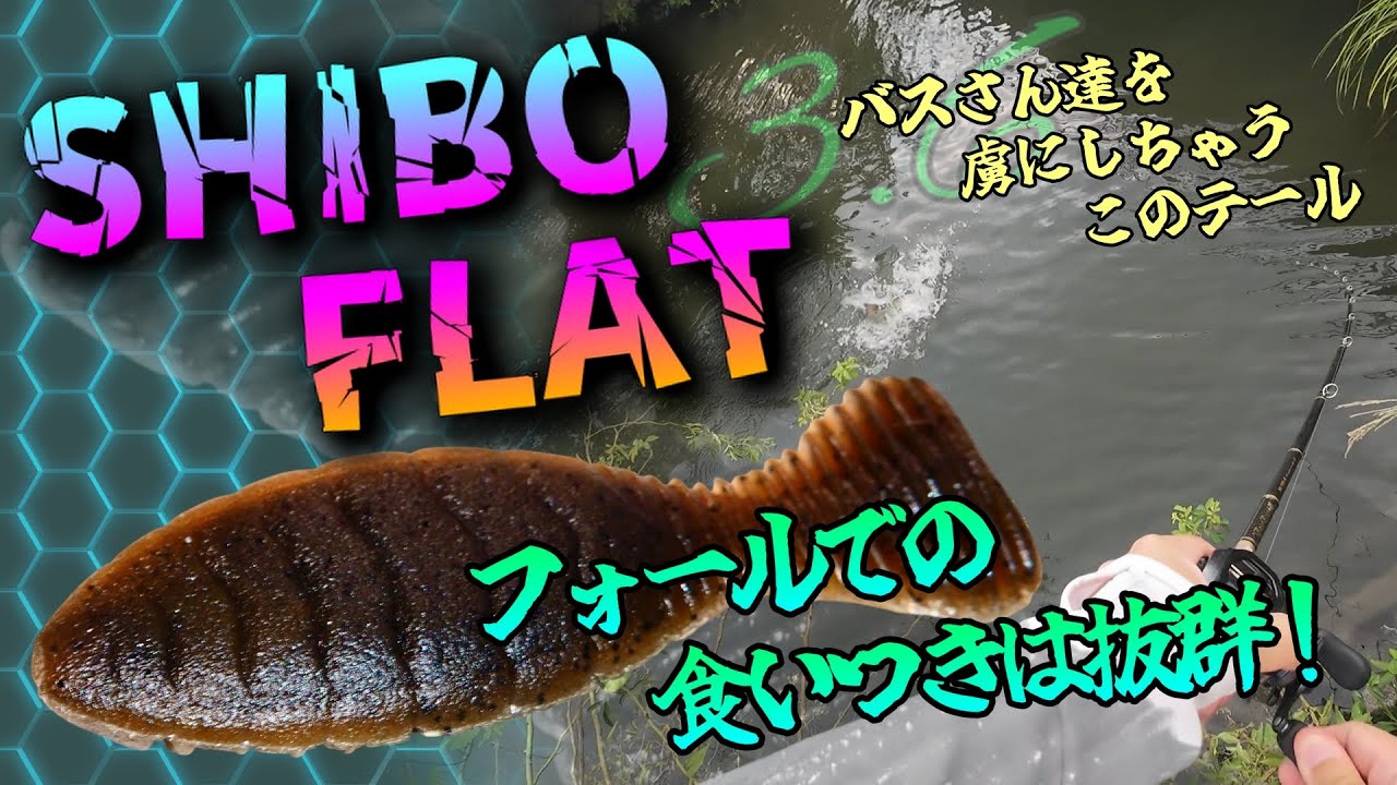 【バス釣り】ギル系ワームにも色々ありますが、ジャッカルのシボフラット3.6は、正直釣れます！シボフラット3.6のフォールでのブラックバス達の食いつきは、抜群だった！【Black　Bass】