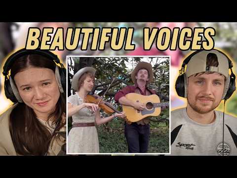 Lost Dog Street Band, "September Doves," REACTION