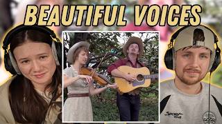 Lost Dog Street Band, "September Doves," REACTION