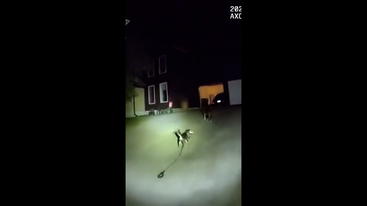 Kansas dog leads police officer to injured owner