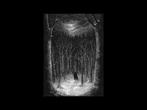Paysage d'Hiver - Im Winterwald [official]