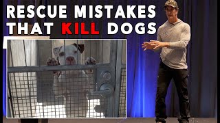 The Biggest Mistake that Dog Rescues Make  and it gets GOOD DOGS Killed
