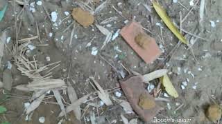 DSCF0002 DSCF0002