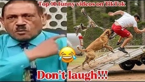 Try Not To Laugh Challenge 😂 ▶️ LEVEL | Instant Regret Fails Compilation 2025 13