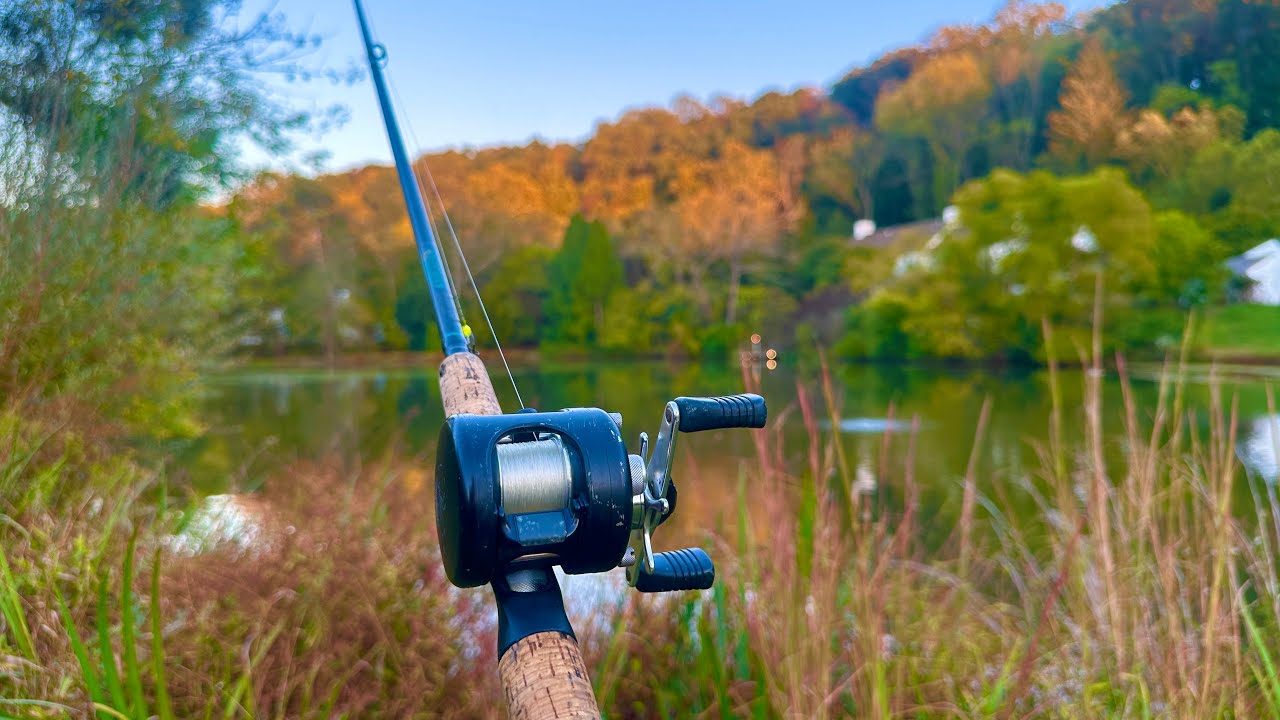 Private Pond Bass Fishing with a Baitcaster and Senko