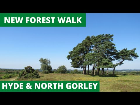 NEW FOREST WALK at HYDE, FROGHAM & NORTH GORLEY (NEW FOREST NATIONAL PARK) [4K]