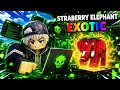 Aku Jadi HACKER di Roblox Demi Brainrot Langka! di Hack Vault for Brainrots