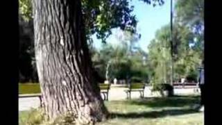 wall flip 360