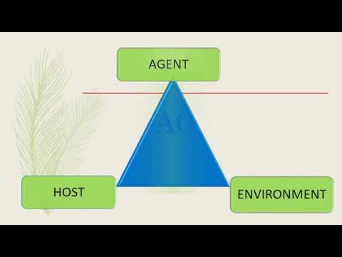 Epidemiology triad