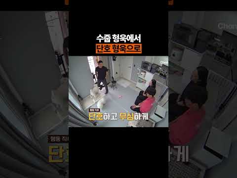 수줍 형욱// #개와늑대의시간2 #개늑시2 thumbnail