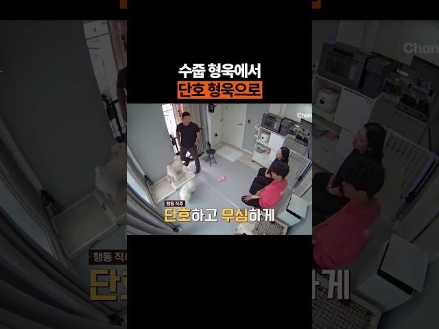 수줍 형욱// #개와늑대의시간2 #개늑시2
