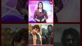 'మై డియర్ బ్రదర్ RC'..! రామ్ చరణ్ నటనకు అఖిల్ అక్కినేని ఫిదా | Akhil Akkineni Praises Peddi