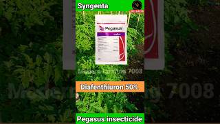 Syngenta Pegasus insecticide | Thrips control insecticide| #short #shorts