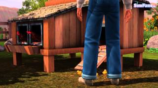 sims tim coop chicken