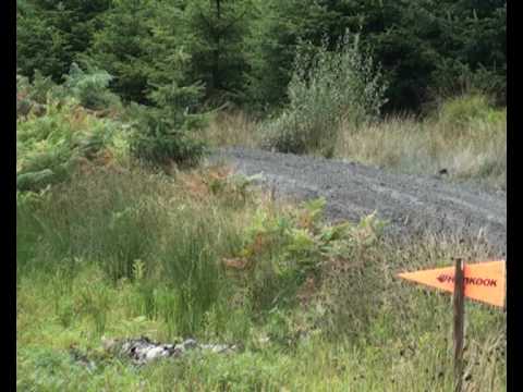 Merrick Forest Stages-Stage 5 corner-part 1