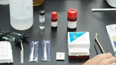 VIDEO 1 Slide Mounting Intro: Tools of the Trade