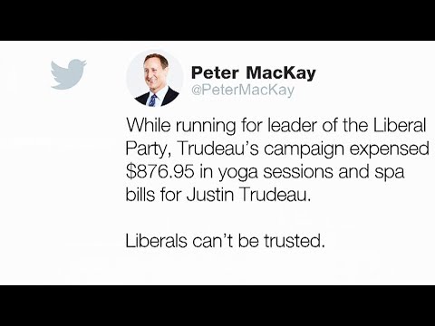 Will MacKay's social media attacks on Trudeau backfire?