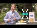The Chemistry of Exercise and Muscle Function