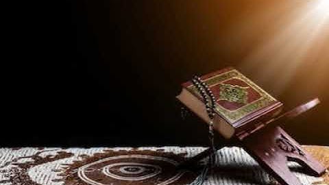 سورة الحج القارئ مشاري العفاسي