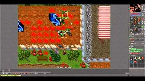 Tibia Aurea Pk - Royal Team - Part 1