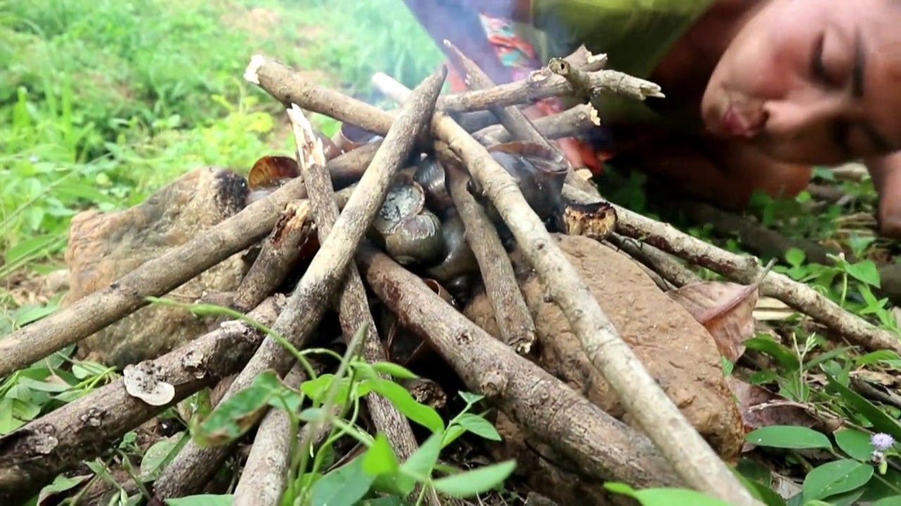 survival time small cell carcinoma bladder Survival skills: Catch snails in water flow & Grilled for food - Cooking snails eating delicious